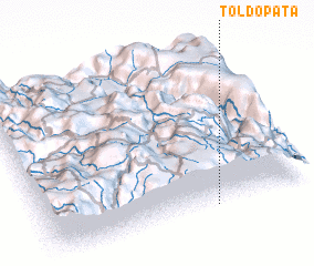 3d view of Toldo Pata