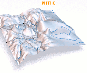 3d view of Pititic