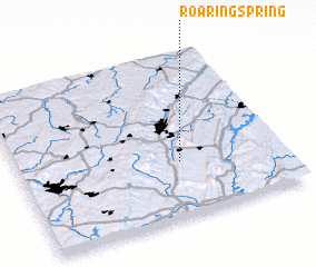 3d view of Roaring Spring