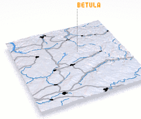 3d view of Betula