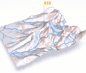 3d view of Oso