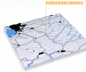 3d view of Punkshire Corners