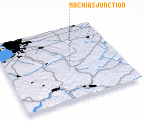 3d view of Machias Junction