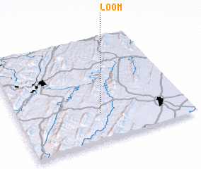 3d view of Loom