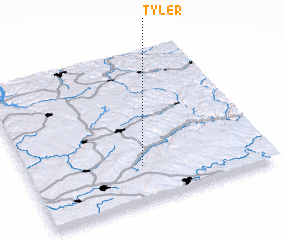 3d view of Tyler