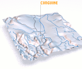 3d view of Conguime