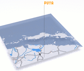 3d view of Puya