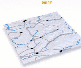 3d view of Paine