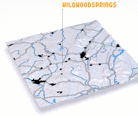 3d view of Wildwood Springs