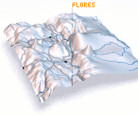 3d view of Flores