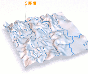 3d view of Surmi