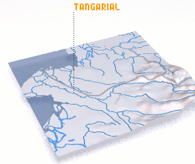 3d view of Tangarial