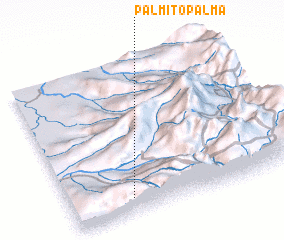 3d view of Palmito Palma