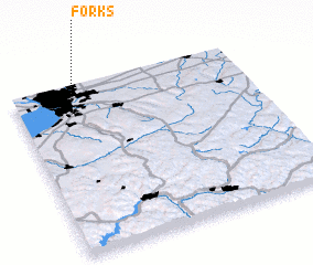 3d view of Forks