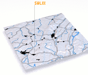 3d view of Salix