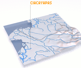 3d view of Cía Cayapas