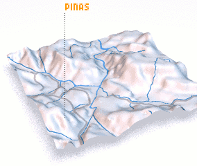 3d view of Piñas