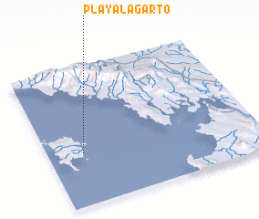 3d view of Playa Lagarto