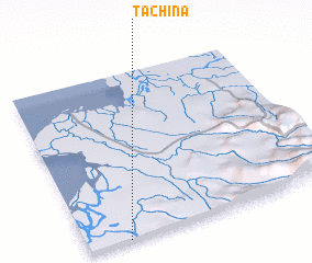 3d view of Tachina