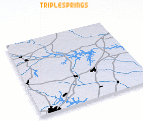 3d view of Triple Springs