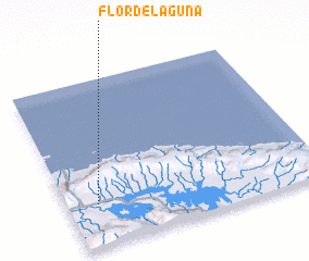 3d view of Flor de Laguna