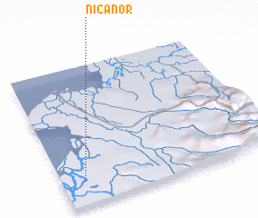 3d view of Nicanor