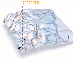 3d view of Ornopata