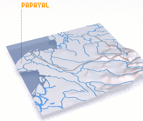 3d view of Papayal