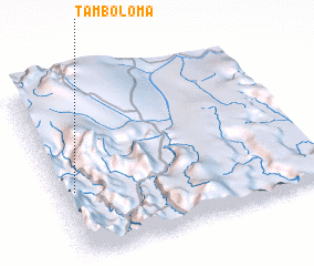 3d view of Tambo Loma