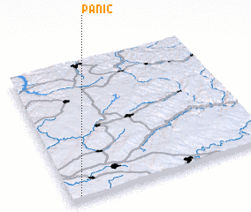 3d view of Panic