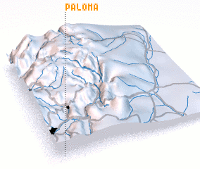 3d view of Paloma