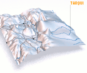 3d view of Tarqui