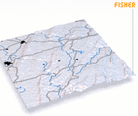 3d view of Fisher