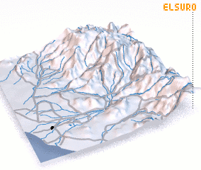 3d view of El Suro