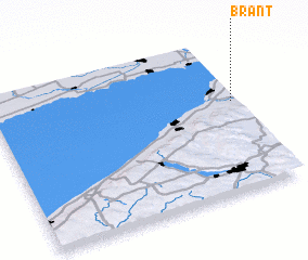 3d view of Brant