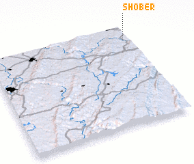 3d view of Shober