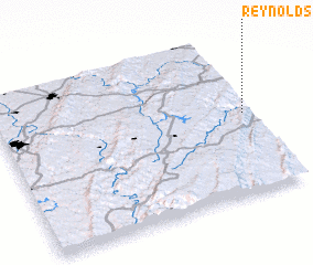 3d view of Reynolds