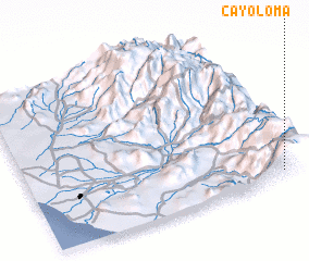 3d view of Cayoloma