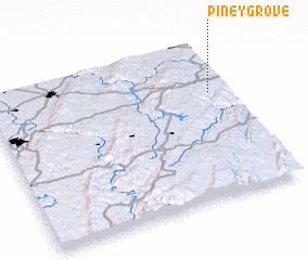 3d view of Piney Grove