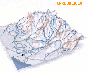3d view of Carboncillo