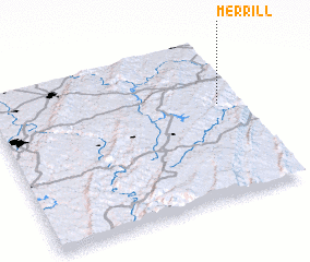 3d view of Merrill