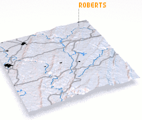 3d view of Roberts