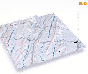 3d view of Avis