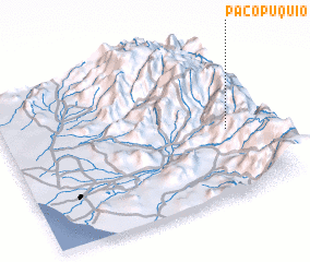 3d view of Pacopuquio