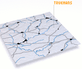 3d view of Truemans