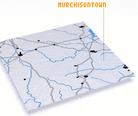 3d view of Murchisontown