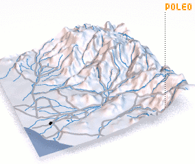 3d view of Poleo