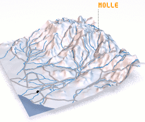 3d view of Molle