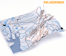 3d view of Palo Quemado