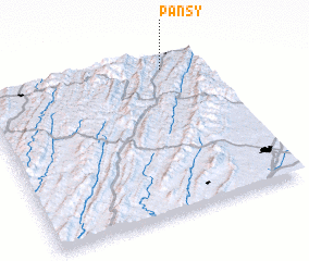 3d view of Pansy